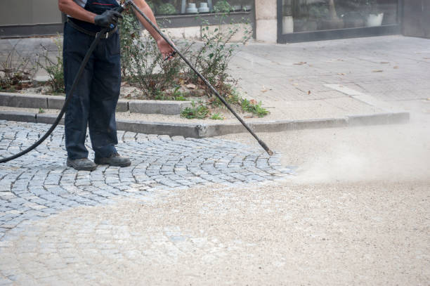 Best Dumpster Area Cleaning  in Clinton, IA